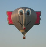 Elephants, you are not seeing things, this is my friend Jon's elephant balloon